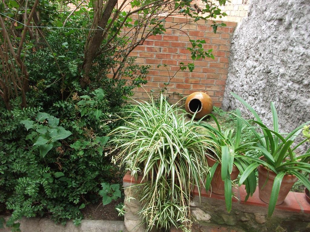 Ca La Paula Villa Pla del Panades Exterior photo